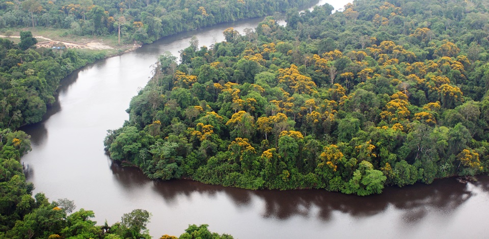 Amazônia