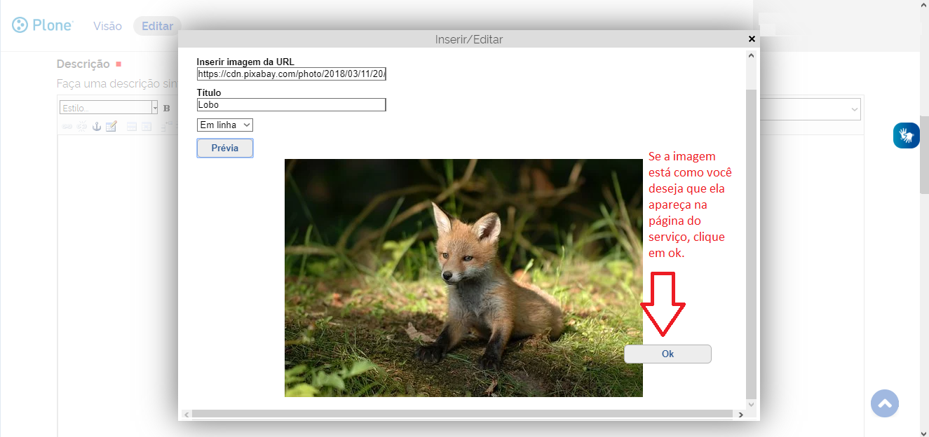 botão inserir/editar imagem