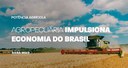 Agropecuária impulsiona economia do Brasil
