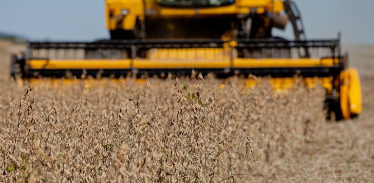Produção pode alcançar novo recorde com 248 milhões de toneladas