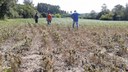 Técnicos do Ministério da Agricultura irão ao Rio Grande do Sul para verificar condições das lavouras afetadas pela seca