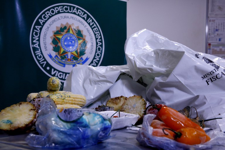 Vigiagro apreendeu 63 mil quilos de produtos de origem animal e vegetal trazidos irregularmente ao país