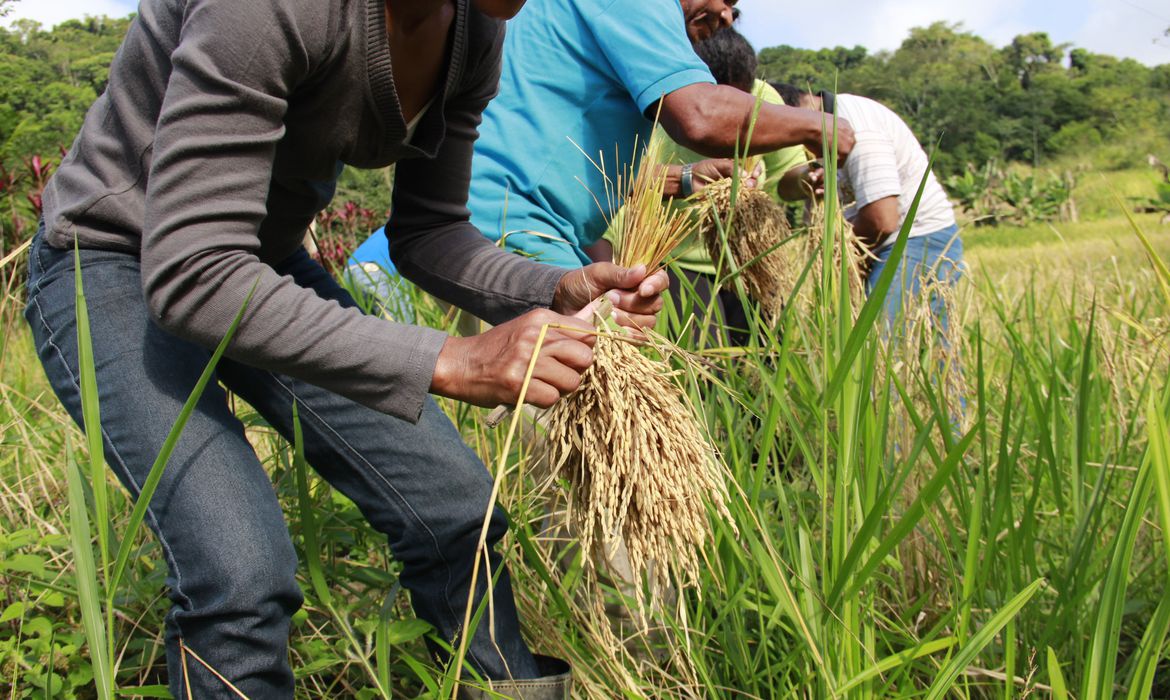 Senado aprova MP do Agro e texto vai à sanção presidencia