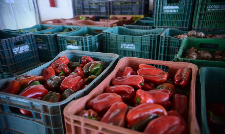 Serviço de logística tem desempenhado papel essencial para o abastecimento de produtos alimentícios