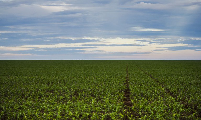 Análise e emissão de títulos fundiários será online para pequenos e médios agricultores
