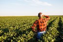 Beneficiários do Proagro poderão comunicar perdas de forma remota