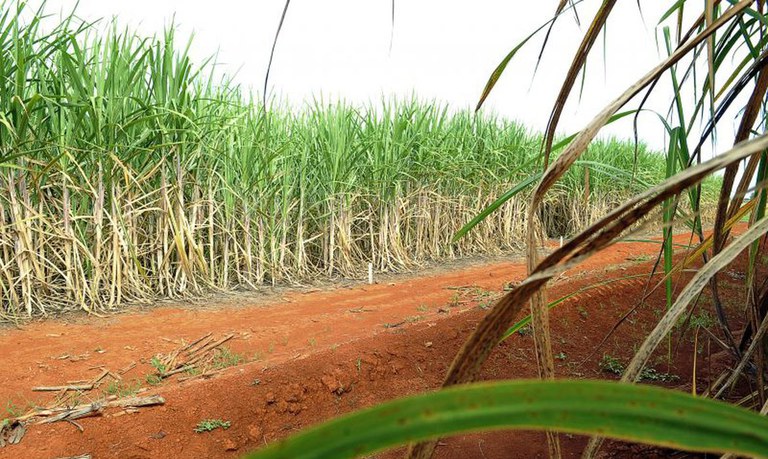 Brasil alcança a maior produção de etanol da história