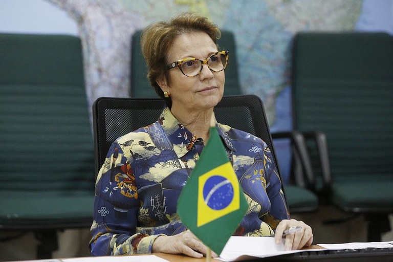 Do campo à mesa consumidor: governo garante abastecimento da população