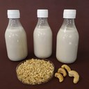 Cientistas desenvolvem bebida da castanha-de-caju com probióticos