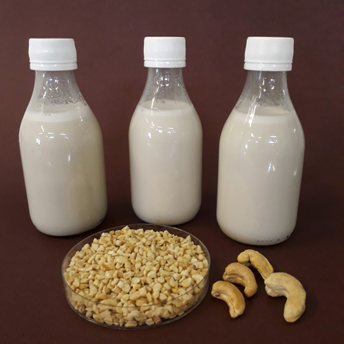 Cientistas desenvolvem bebida da castanha-de-caju com probióticos