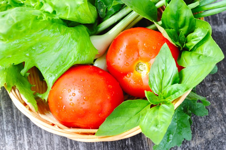 Campanha apoia produtores orgânicos durante pandemia