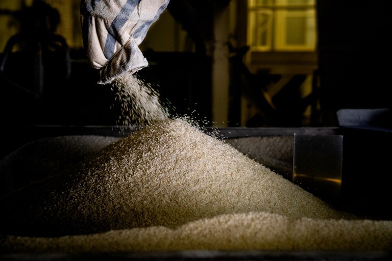 Governo vai trabalhar para para manter o abastecimento e baixar o preço do arroz, afirma ministra