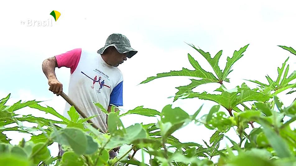 Mais de 3 mil famílias de assentados da reforma agrária recebem documentos de propriedade rural