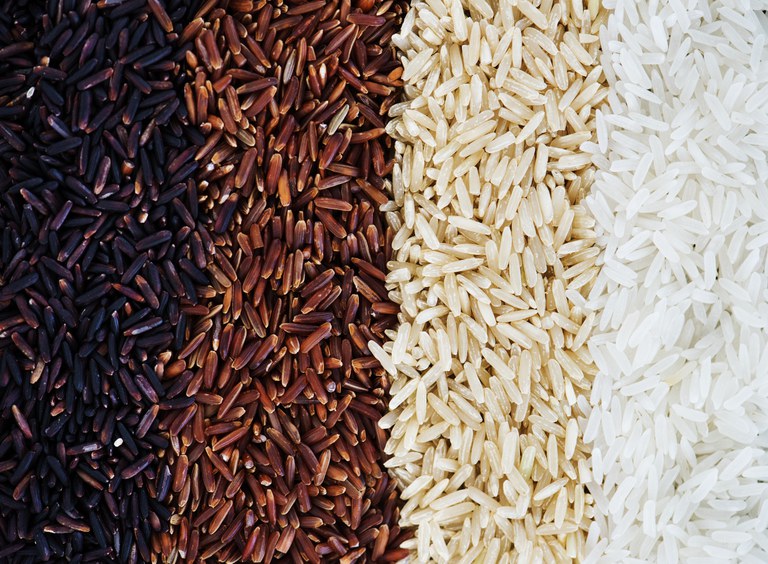 Banco Ativo de Germoplasma de Arroz e Feijão recebe selo de excelência