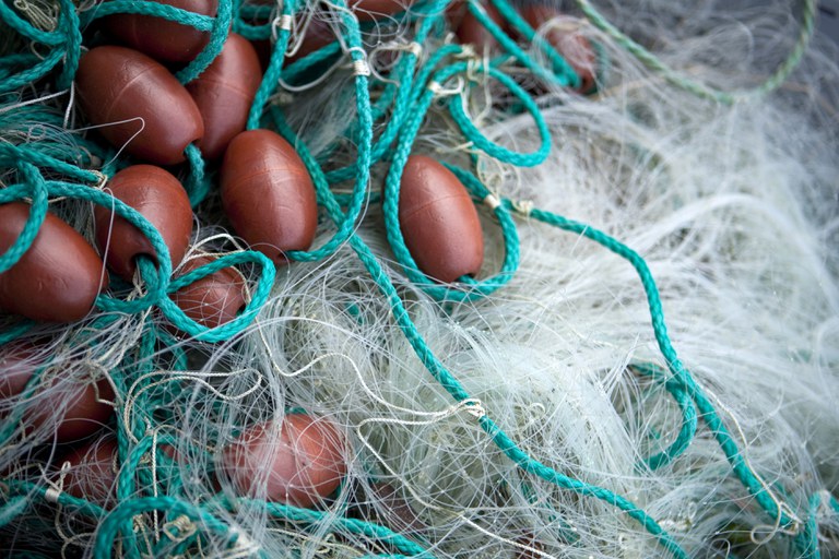 Certificado Oficial de Boas Práticas Higiênico-Sanitárias a Bordo pode ser solicitado on-line