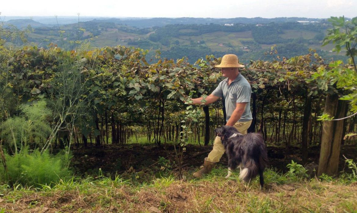 Simplificação para liberação de atividades de baixo risco