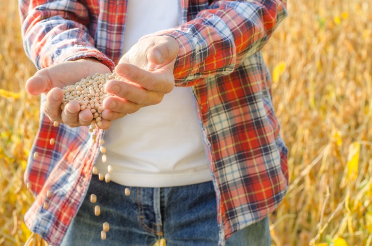 Valor da produção agropecuária de 2020 é o maior dos últimos 32 anos