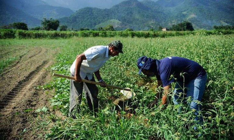 Garantia-Safra autoriza pagamento para mais de 88 mil agricultores familiares