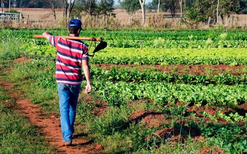 Garantia-Safra autoriza pagamento para mais de 13 mil agricultores familiares