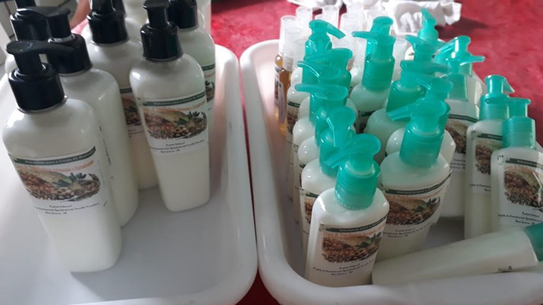 Identificados 26 produtos da biodiversidade com potencial de mercado