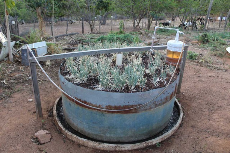 Plataforma compartilha projetos de energias renováveis e sustentáveis