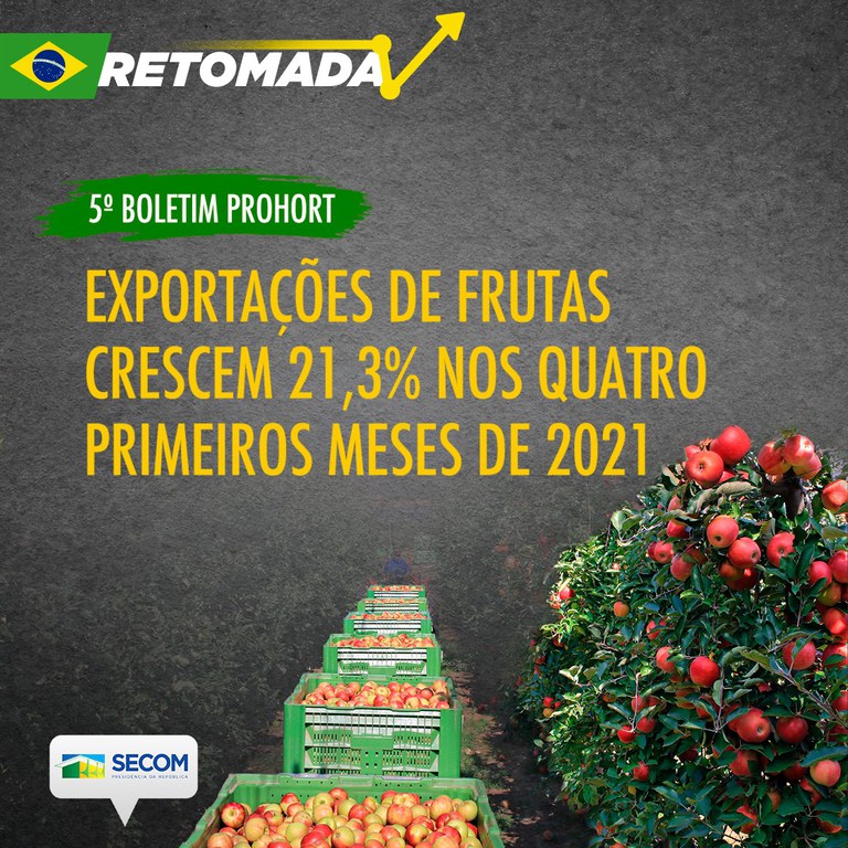 Exportação de frutas registra alta de mais de 20% no primeiro quadrimestre