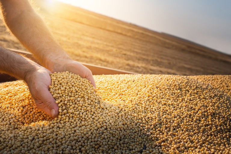 Safra de grãos deve atingir 271,7 milhões de toneladas