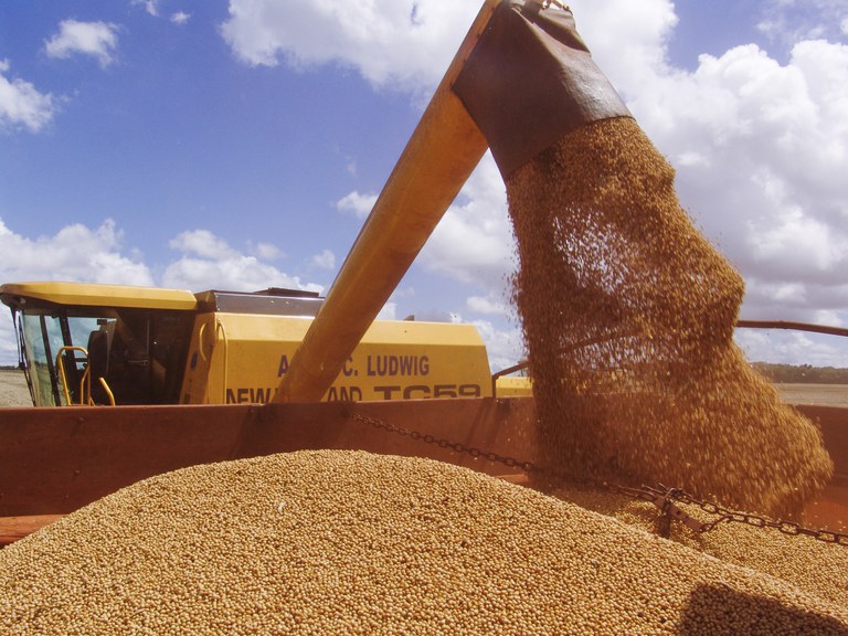Safra de grãos deve chegar a 262,13 milhões de toneladas