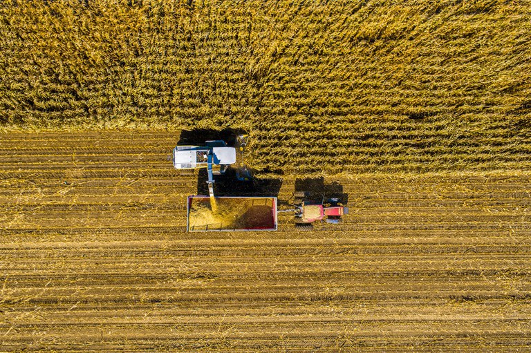 Valor da Produção Agropecuária de 2021 deve registrar aumento real de 11,8%