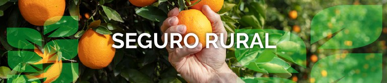 Agricultores podem acessar seguro para minimizar perdas