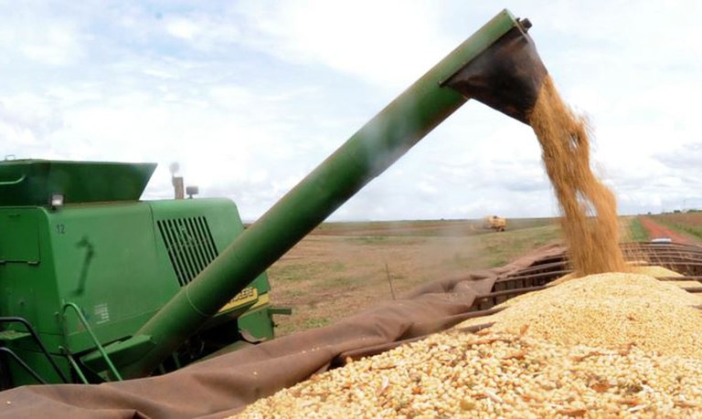 Produção de grãos crescerá 27% nos próximos dez anos