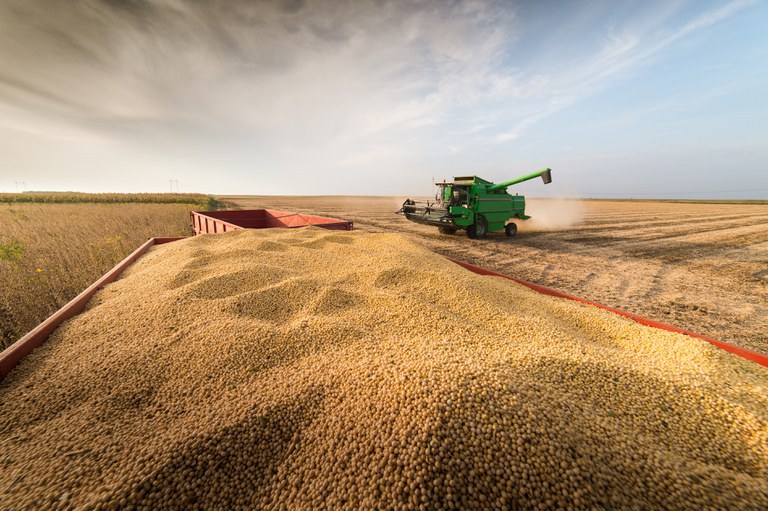 Conab estima produção total de 289,6 milhões de toneladas de grãos para safra 2021/22