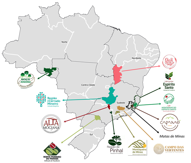Como é o dogão nas diferentes regiões do Brasil? - frigideira por aiqfome