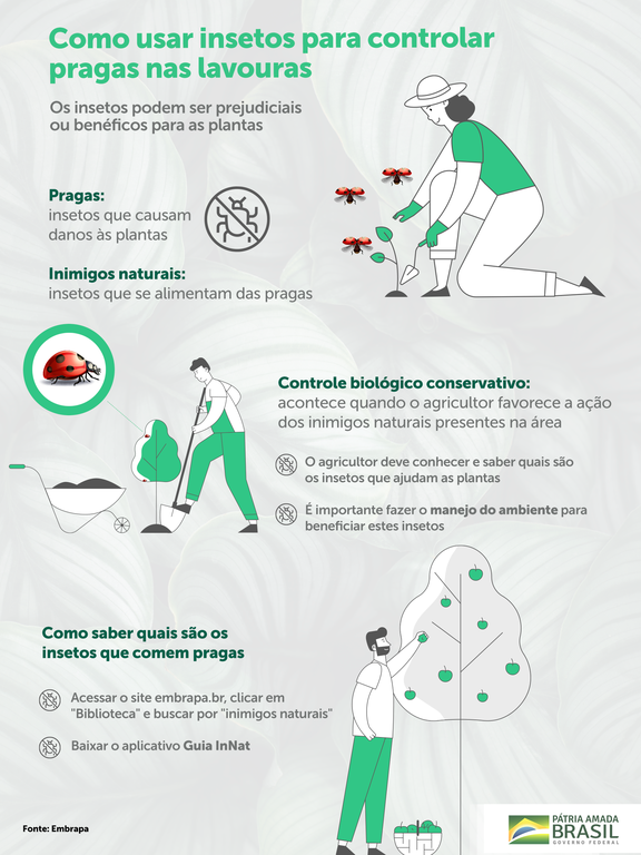 Saiba como usar insetos para controlar pragas nas lavouras