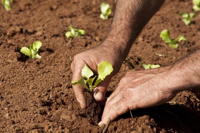 Governo apresenta novas políticas públicas para Agricultura Familiar  durante a 1ª Femaf