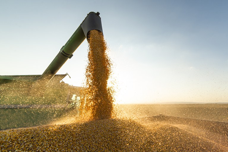 Valor Bruto da Produção Agropecuária de 2022 é estimado em R$ 1,2 trilhão