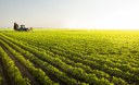 Valor da Produção Agropecuária de 2022 é estimado em R$ 1,188 trilhão