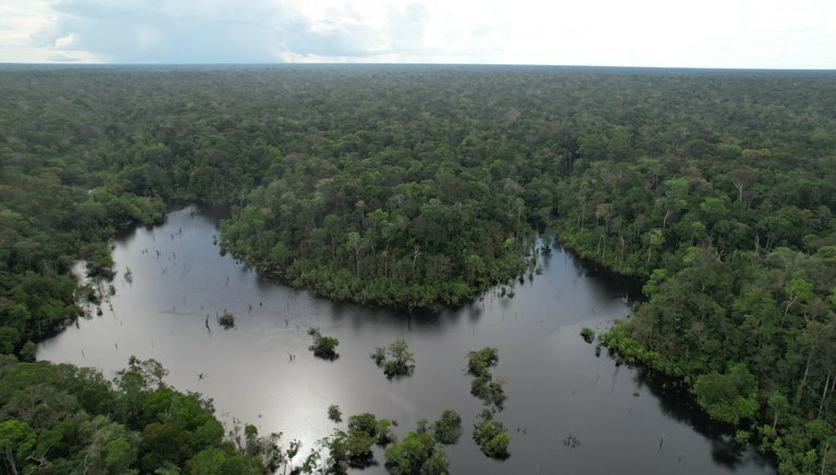 Mapa autoriza concessões em duas florestas nacionais da Amazônia