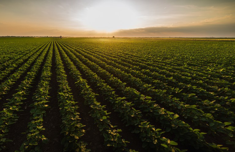 Valor da Produção Agropecuária de 2022 está estimado em R$ 1,185 trilhão