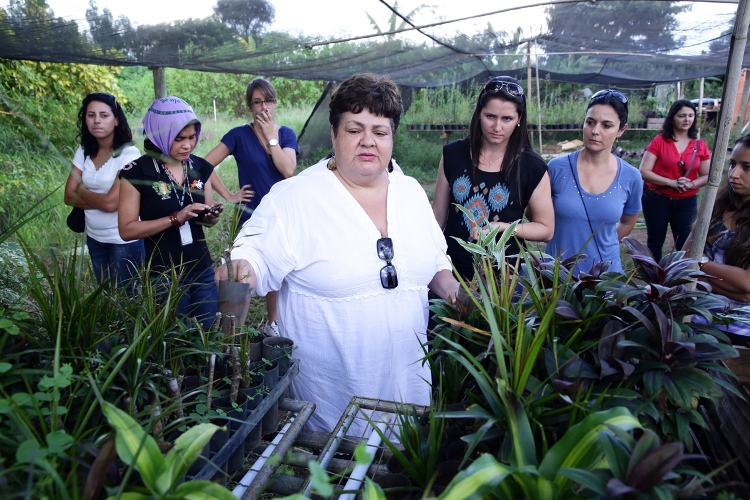 Mulheres empreendedoras rurais
