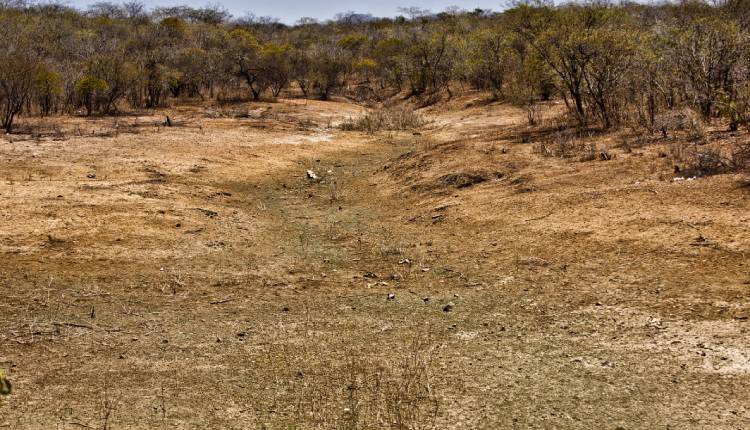 Governo reconhece situação de emergência em 70 cidades de Minas Gerais, Pernambuco, Rio de Janeiro e Rio Grande do Sul
