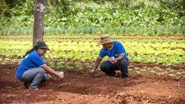 Mais de dez milhões de pessoas do meio rural já receberam auxílio