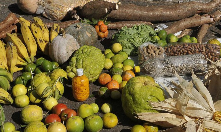 Governo Federal divulga lista de 90 municípios que receberão recursos do Programa de Aquisição de Alimentos