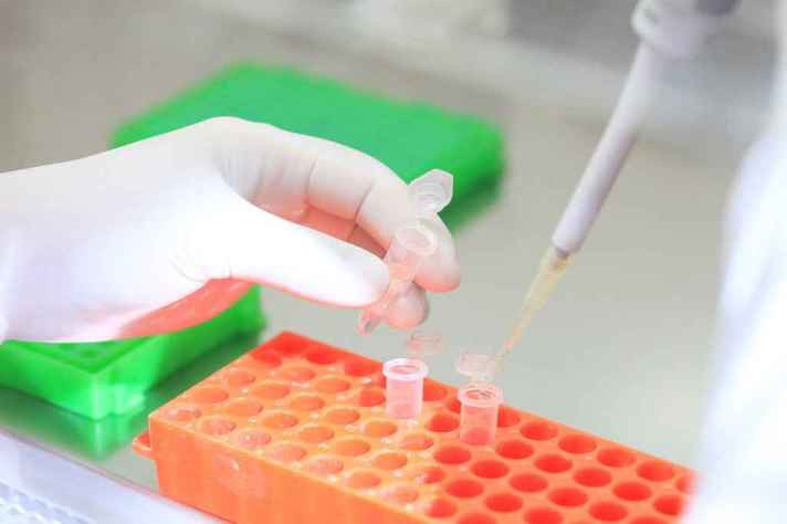 Pesquisadores da UFMG testam moléculas para vacina contra a Covid-19