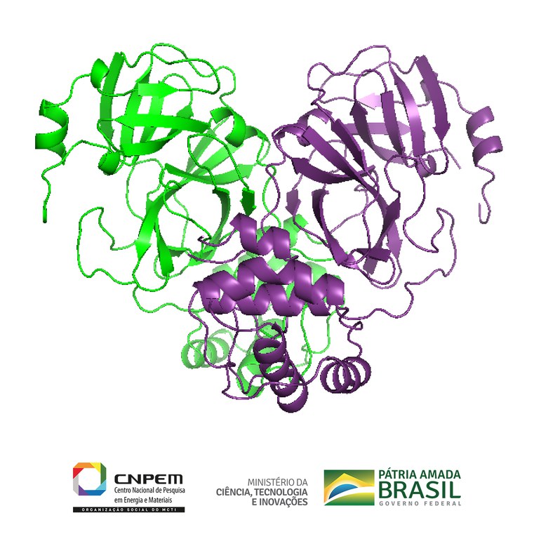 proteína coronavírus