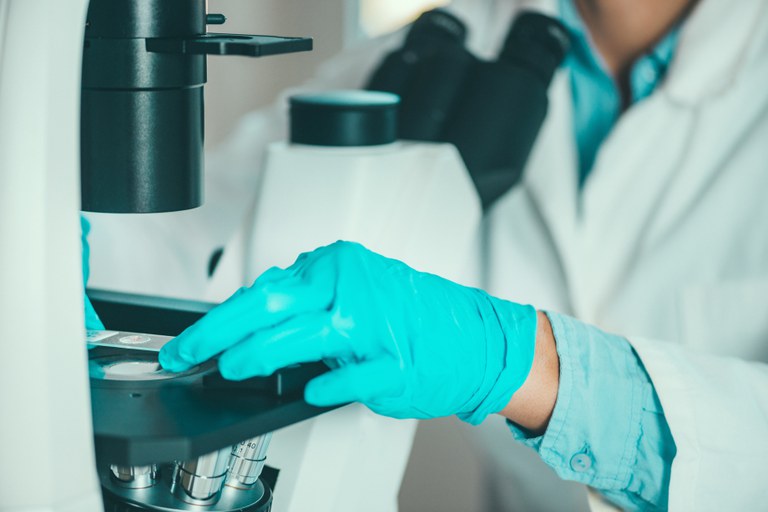 Capes seleciona seis pesquisadores brasileiros para doutorado em Yale