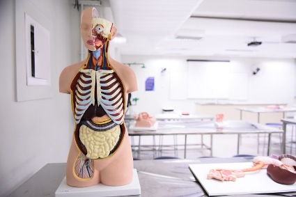 MEC destina R$ 39,7 milhões a universidades federais com campus sem hospital próprio