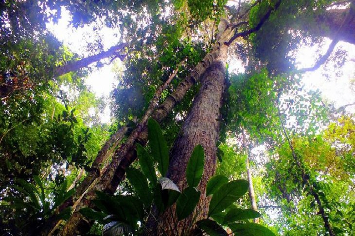 Programa fortalecerá pesquisa e desenvolvimento da biotecnologia nacional