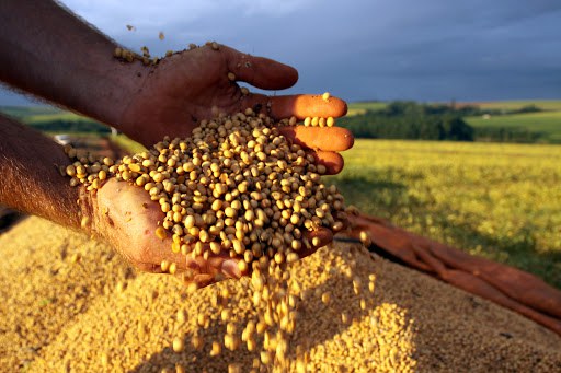 Valor Bruto da Produção Agropecuária para 2020 é estimado em R$ 683,2 bi, diz ministério