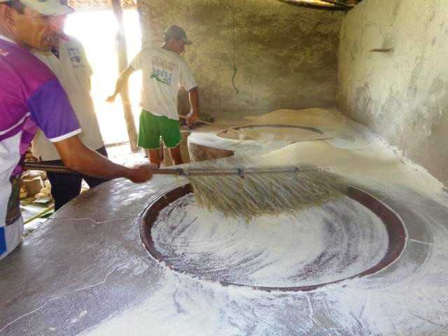 Programa de bioeconomia beneficiará 12 mil pessoas